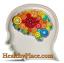 Anormalidades sutis do circuito cerebral confirmadas no TDAH