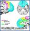 Psicopatologia das síndromes do lobo frontal