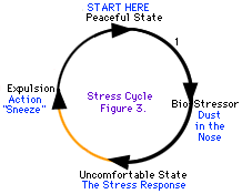 Alguns ciclos de estresse são mais fáceis de percorrer do que outros.