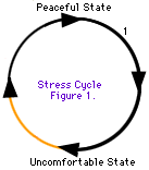 O ciclo de estresse está passando de um estado pacífico para um desconfortável e de volta para um estado pacífico