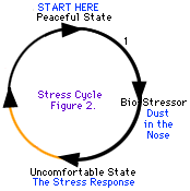 Alguns ciclos de estresse são mais fáceis de percorrer do que outros
