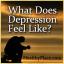 Como a depressão se sente com você?