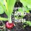TDAH adulto e dietas